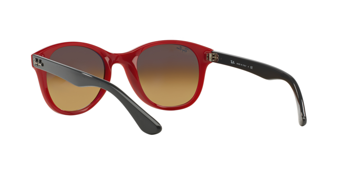 Ray-Ban Sunglasses RB4203 604485