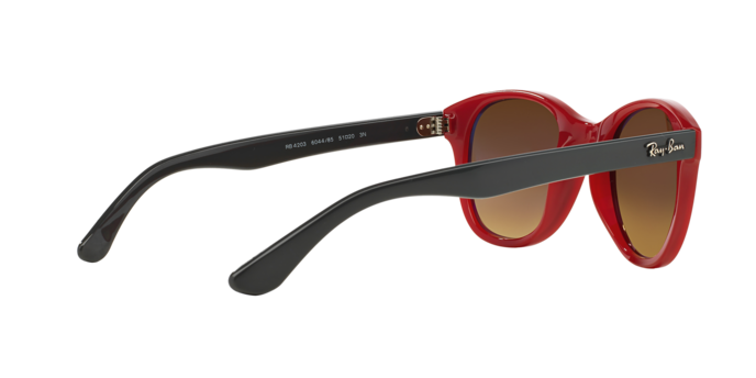 Ray-Ban Sunglasses RB4203 604485