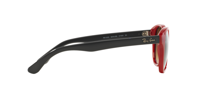 Ray-Ban Sunglasses RB4203 604485