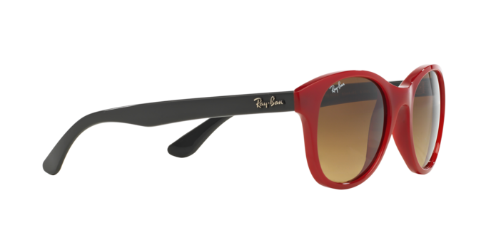 Ray-Ban Sunglasses RB4203 604485