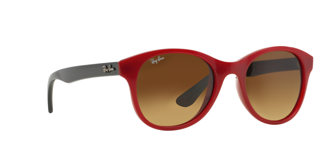 Ray-Ban Sunglasses RB4203 604485