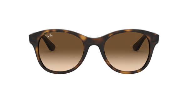 Ray-Ban RB4203 710/13