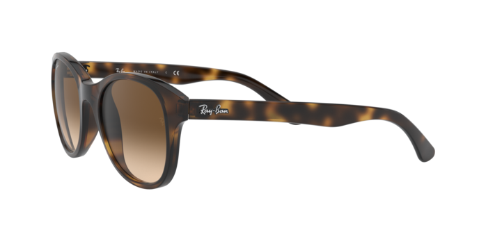 Ray-Ban Sunglasses RB4203 710/13