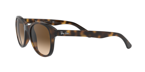 Ray-Ban Sunglasses RB4203 710/13