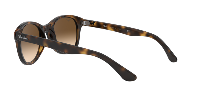 Ray-Ban Sunglasses RB4203 710/13