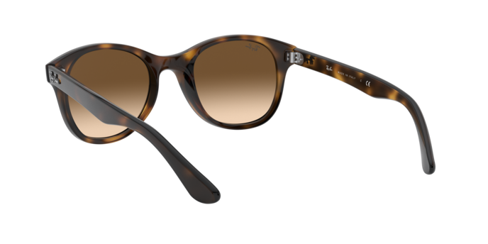 Ray-Ban Sunglasses RB4203 710/13