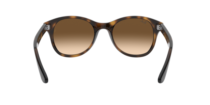 Ray-Ban Sunglasses RB4203 710/13