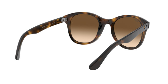 Ray-Ban Sunglasses RB4203 710/13