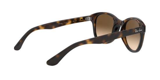 Ray-Ban Sunglasses RB4203 710/13