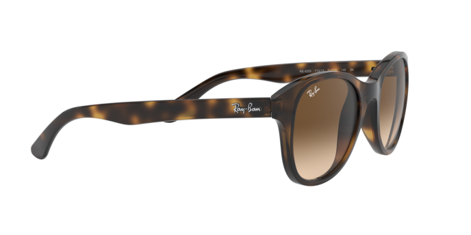 Ray-Ban Sunglasses RB4203 710/13