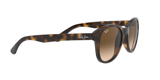 Ray-Ban Sunglasses RB4203 710/13