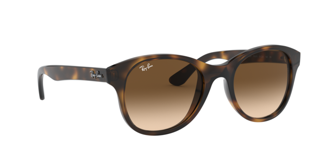 Ray-Ban Sunglasses RB4203 710/13