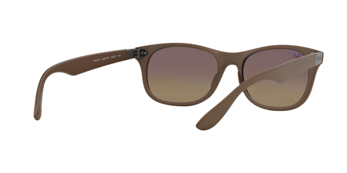 Ray-Ban Sunglasses RB4207 6033T5