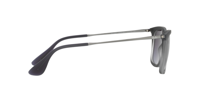 Ray-Ban Sunglasses RB4221 62268G