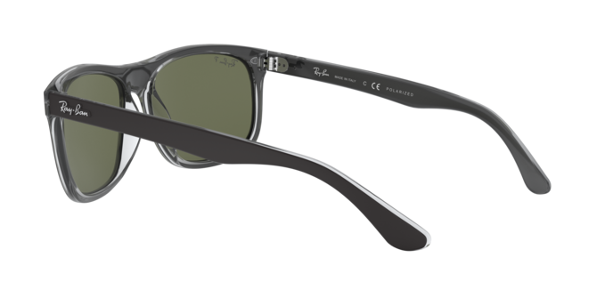 Ray-Ban Sunglasses RB4226 60529A