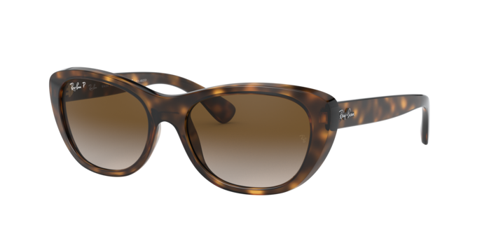 Ray-Ban Sunglasses RB4227 710/T5
