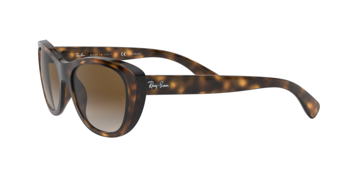 Ray-Ban Sunglasses RB4227 710/T5