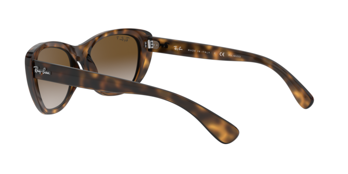 Ray-Ban Sunglasses RB4227 710/T5