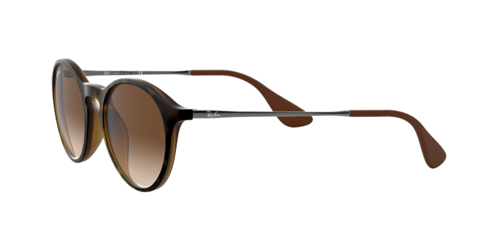 Ray-Ban Sunglasses RB4243 865/13