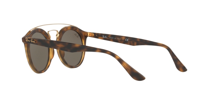 Ray-Ban New Gatsby I Sunglasses RB4256 60925A