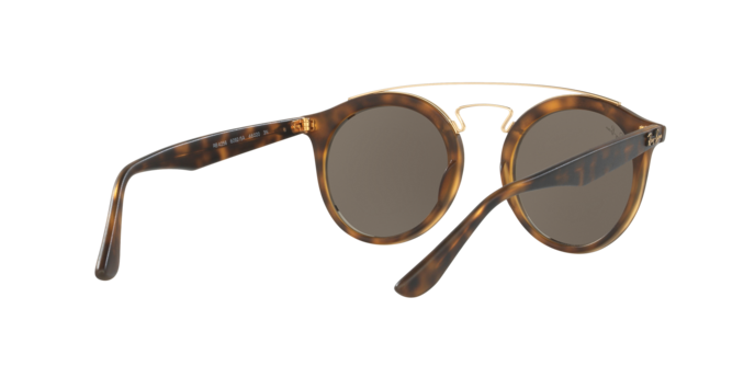 Ray-Ban New Gatsby I Sunglasses RB4256 60925A