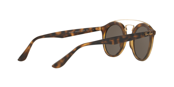 Ray-Ban New Gatsby I Sunglasses RB4256 60925A