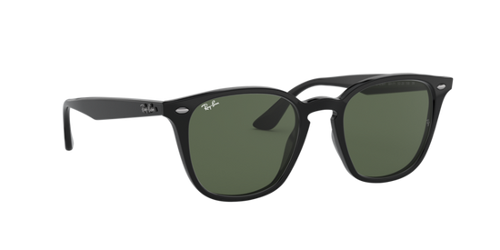 Ray-Ban Sunglasses RB4258F 601/71