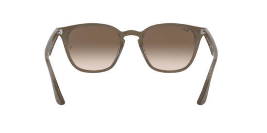 Ray-Ban Sunglasses RB4258F 616613