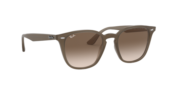 Ray-Ban Sunglasses RB4258F 616613