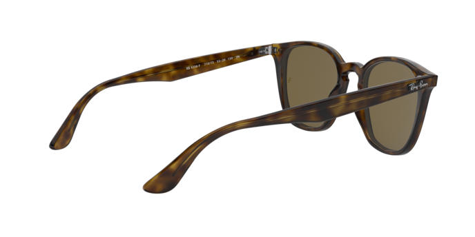 Ray-Ban Sunglasses RB4258F 710/73