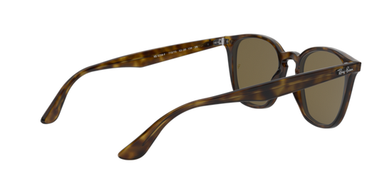 Ray-Ban Sunglasses RB4258F 710/73