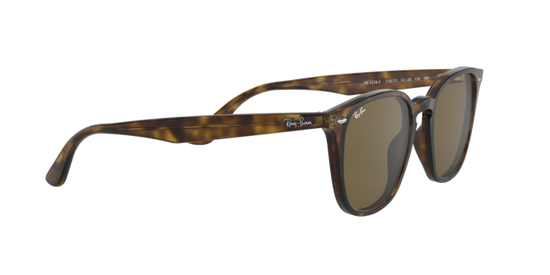 Ray-Ban Sunglasses RB4258F 710/73