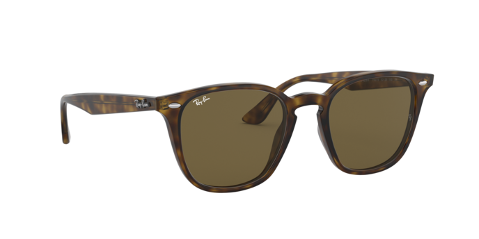 Ray-Ban Sunglasses RB4258F 710/73