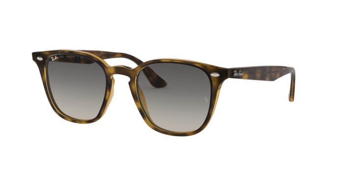 Ray-Ban Sunglasses RB4258 710/11