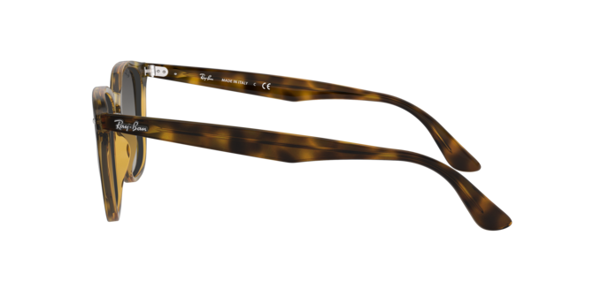 Ray-Ban Sunglasses RB4258 710/11