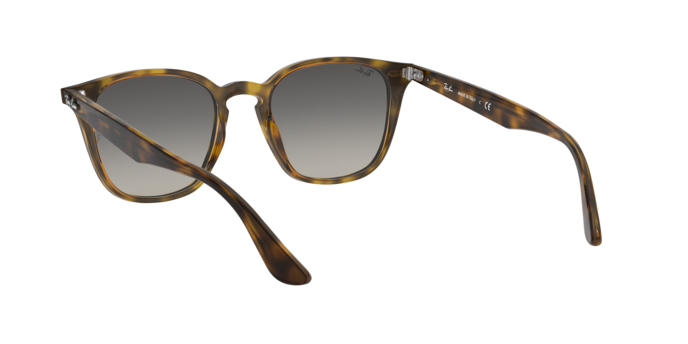 Ray-Ban Sunglasses RB4258 710/11
