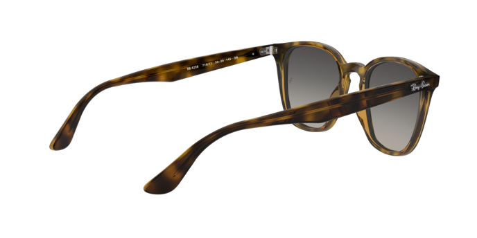 Ray-Ban Sunglasses RB4258 710/11