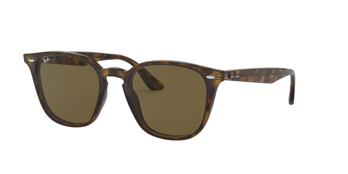 Ray-Ban Sunglasses RB4258 710/73