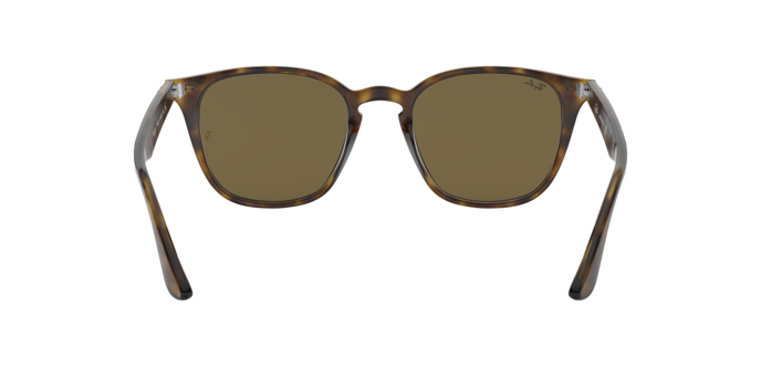 Ray-Ban Sunglasses RB4258 710/73