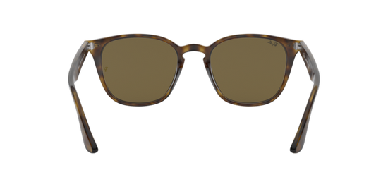 Ray-Ban Sunglasses RB4258 710/73