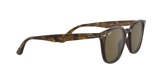 Ray-Ban Sunglasses RB4258 710/73