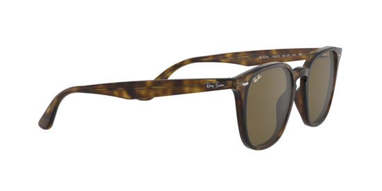 Ray-Ban Sunglasses RB4258 710/73