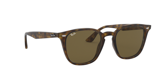 Ray-Ban Sunglasses RB4258 710/73