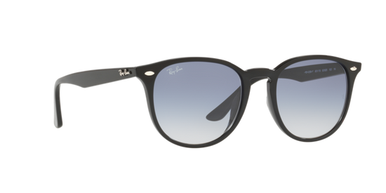 Ray-Ban Sunglasses RB4259F 601/19