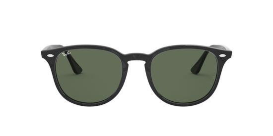 Ray-Ban Sunglasses RB4259F 601/71