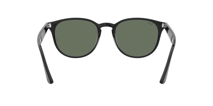 Ray-Ban Sunglasses RB4259F 601/71