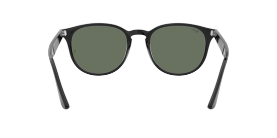 Ray-Ban Sunglasses RB4259F 601/71