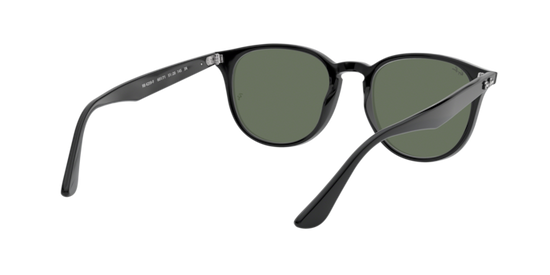 Ray-Ban Sunglasses RB4259F 601/71