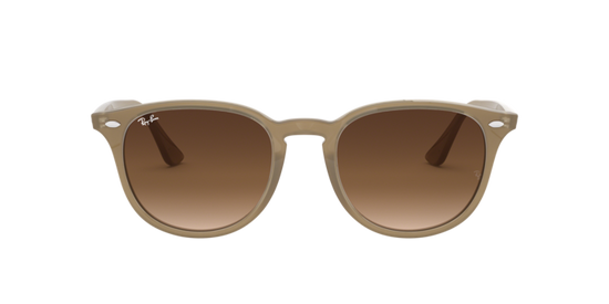 Ray-Ban Sunglasses RB4259F 616613