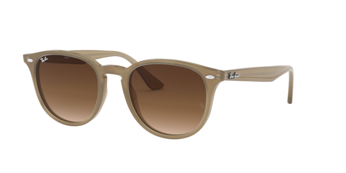 Ray-Ban Sunglasses RB4259F 616613